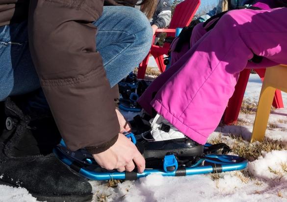 Snowshoeing