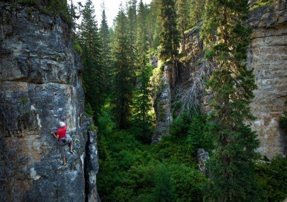 Drone shot of a rock climber scaling up a limestone cliff face in the dense Black Hills National Forest in Spearfish Canyon.