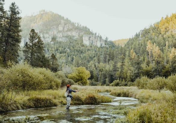 A fly fisherman casts a line in the waters of the Black Hills in South Dakota