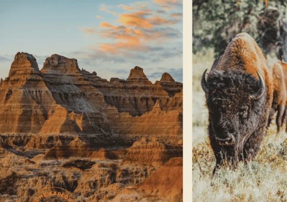 2025 South Dakota Vacation Guide Cover