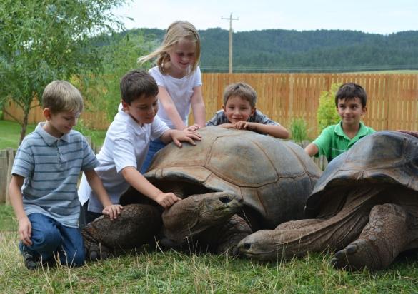 reptile gardens