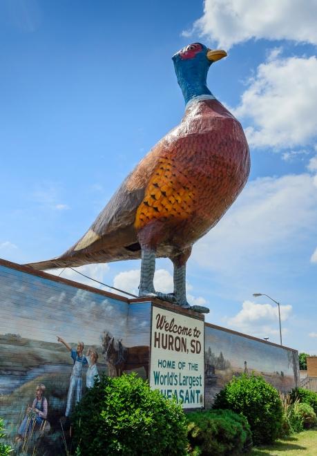 Worlds Largest Pheasant | Highway 14 Huron South Dakota