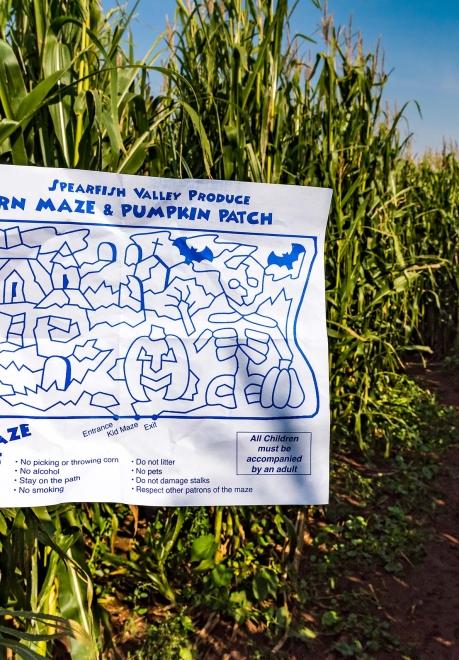 Spearfish Corn Maze Map and Trail