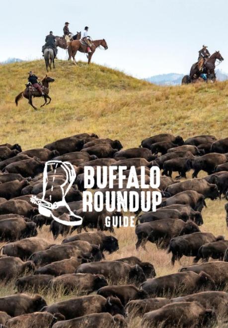 Cowboys and buffalo at Buffalo Roundup