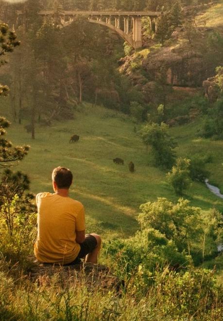 Spearfish canyon overlook