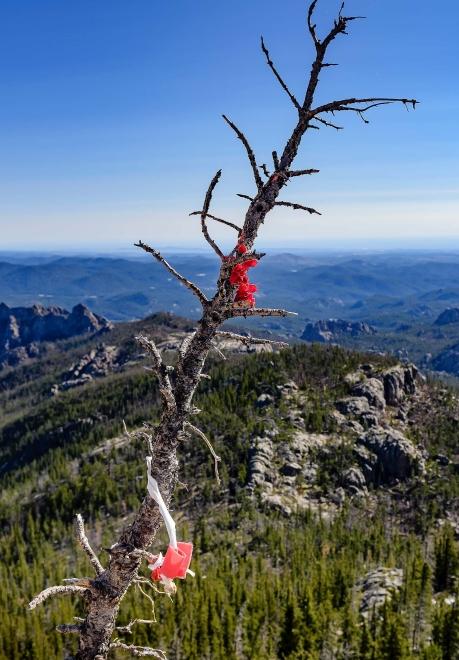 Prayer cloths at Black Elk Peak