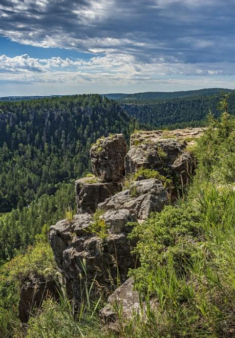 Black Hills National Forest