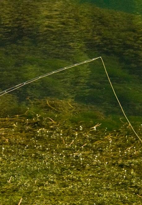 Fishing in South Dakota