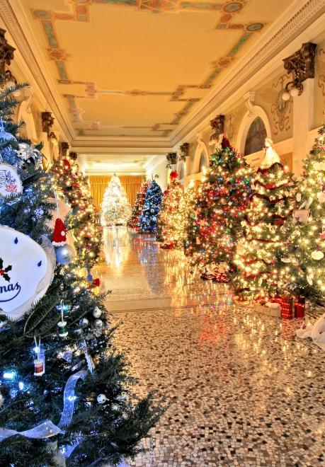 Christmas trees in the halls of the Capitol