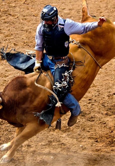 bull riding in South Dakota