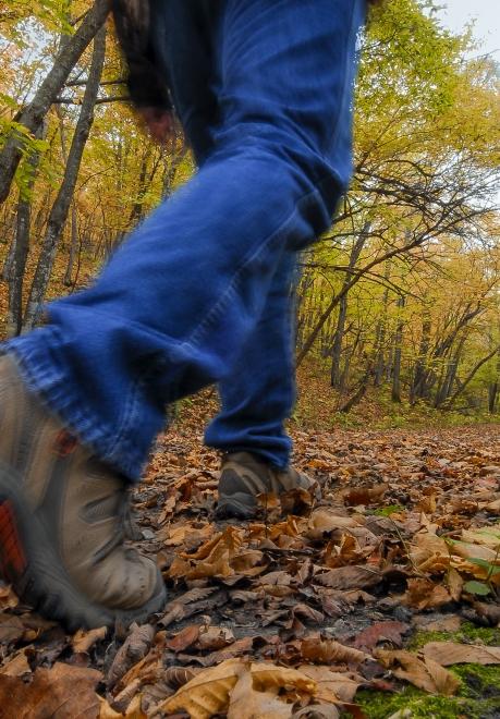 Hiking at Sica Hollow State Park.