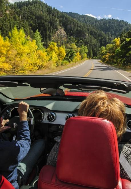 Driving along the Spearfish Canyon State and National Forest Service Scenic Byway