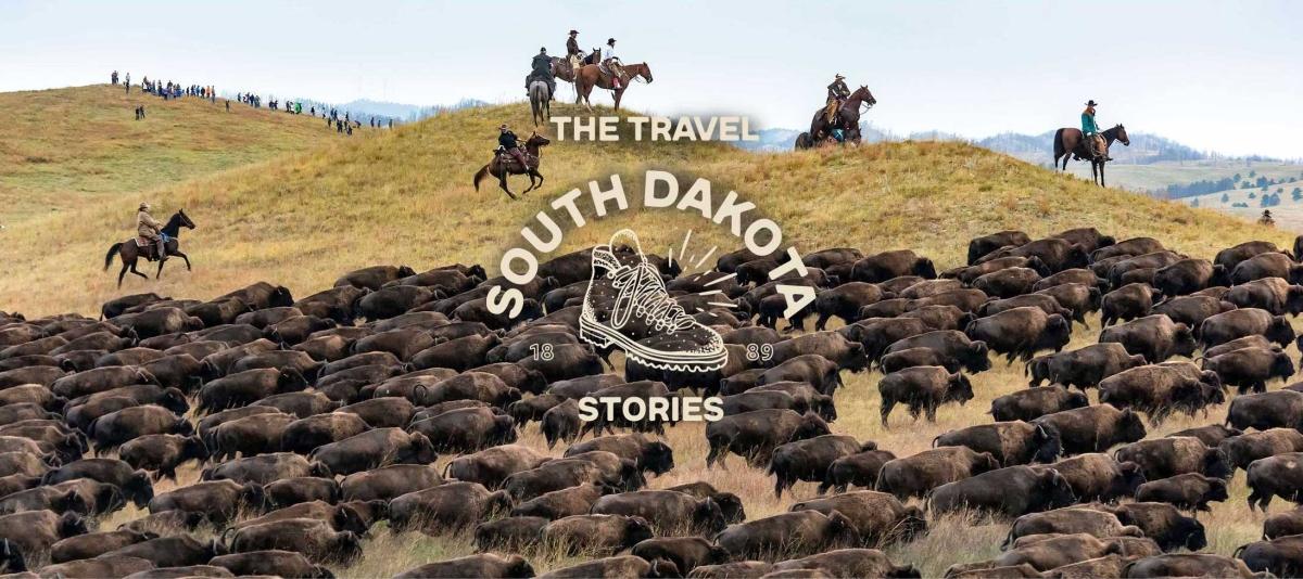 Cowboys on horseback round up a large herd of bison at the Custer State Park Buffalo Roundup in Custer, South Dakota.