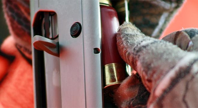 Pheasant Hunting_ammunition