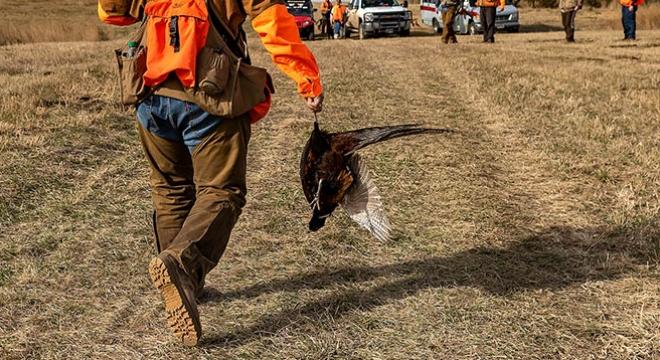 Pheasant Hunting_Boots