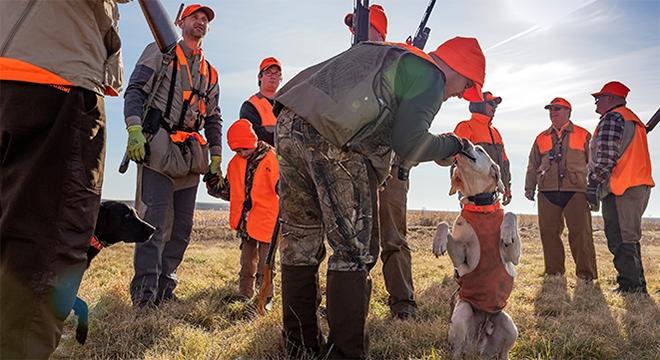 Group of pheasant hunters and two labs in a field