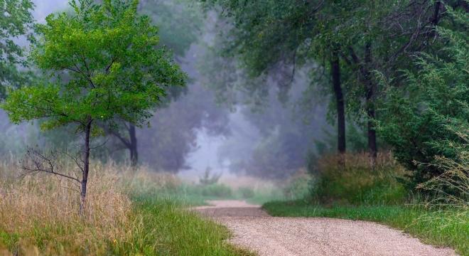 Fog at LaFramboise Island